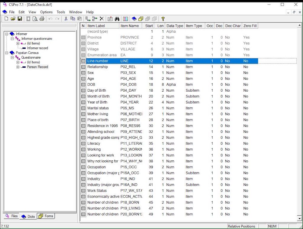 CSPro screenshot